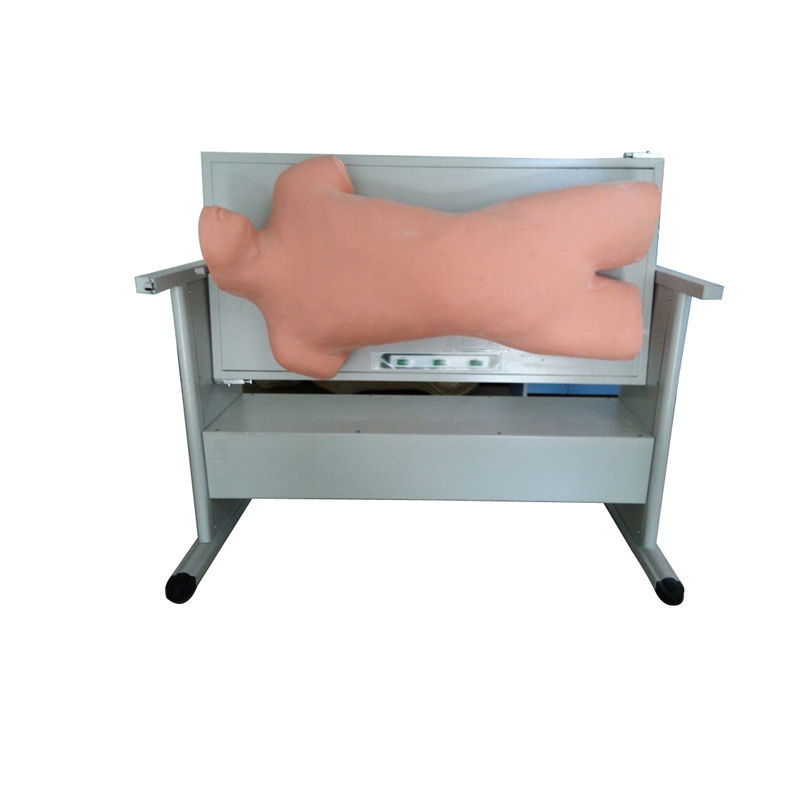 Advanced Comprehensive Puncture and Percussion Examination Skills Training Simulator