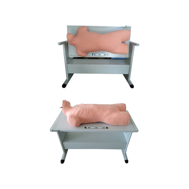 Advanced Comprehensive Puncture and Percussion Examination Skills Training Simulator
