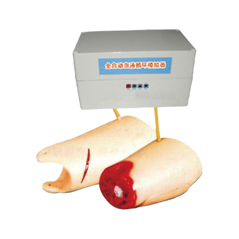 Controlling Bleeding Thigh Model