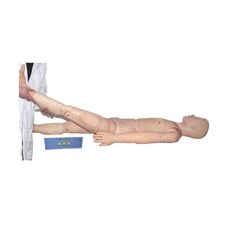 Electronice Lumbar Disc Herniation Examination and Training Simulator