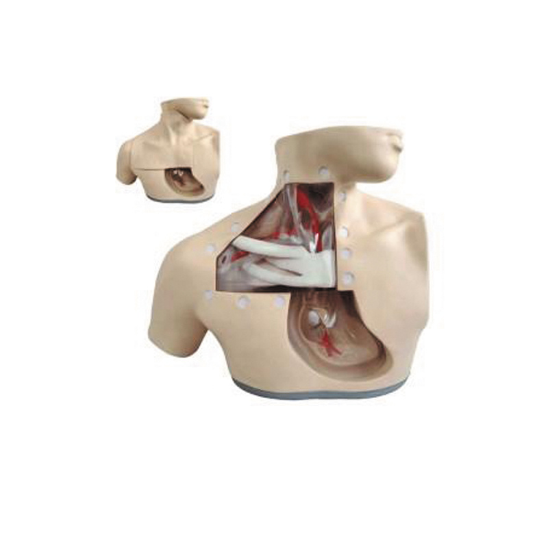 Advanced Parenteral Nutrition Care Model