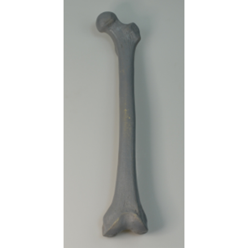 X-Ray Imaging of Femur Practice Model