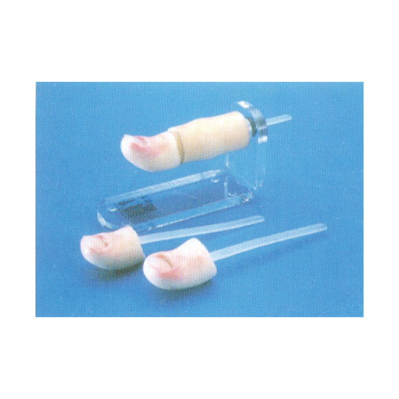 Nail Extraction Training Model