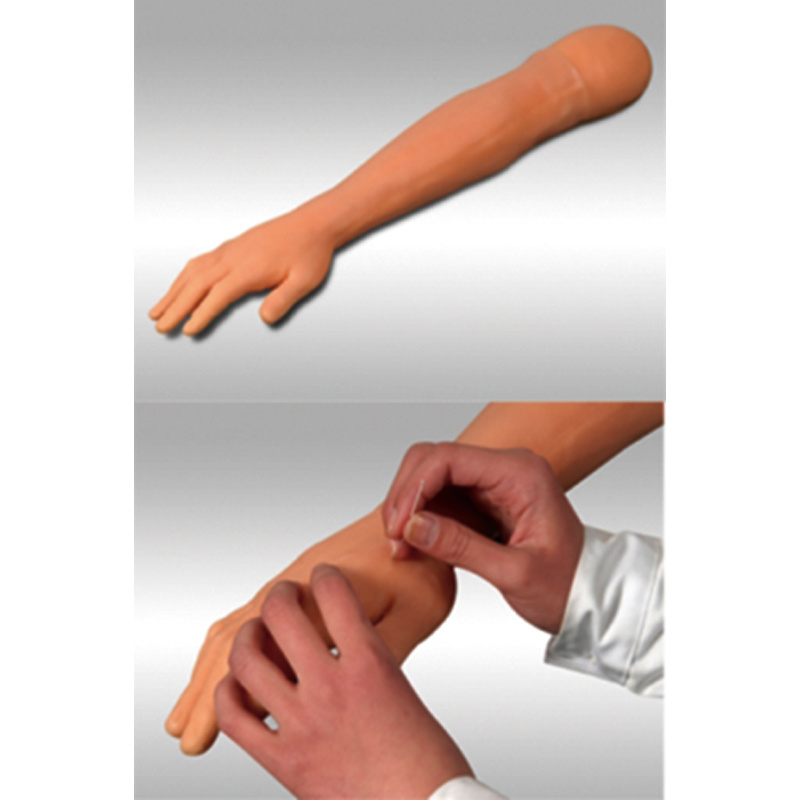 Arm Acupuncture Training Model