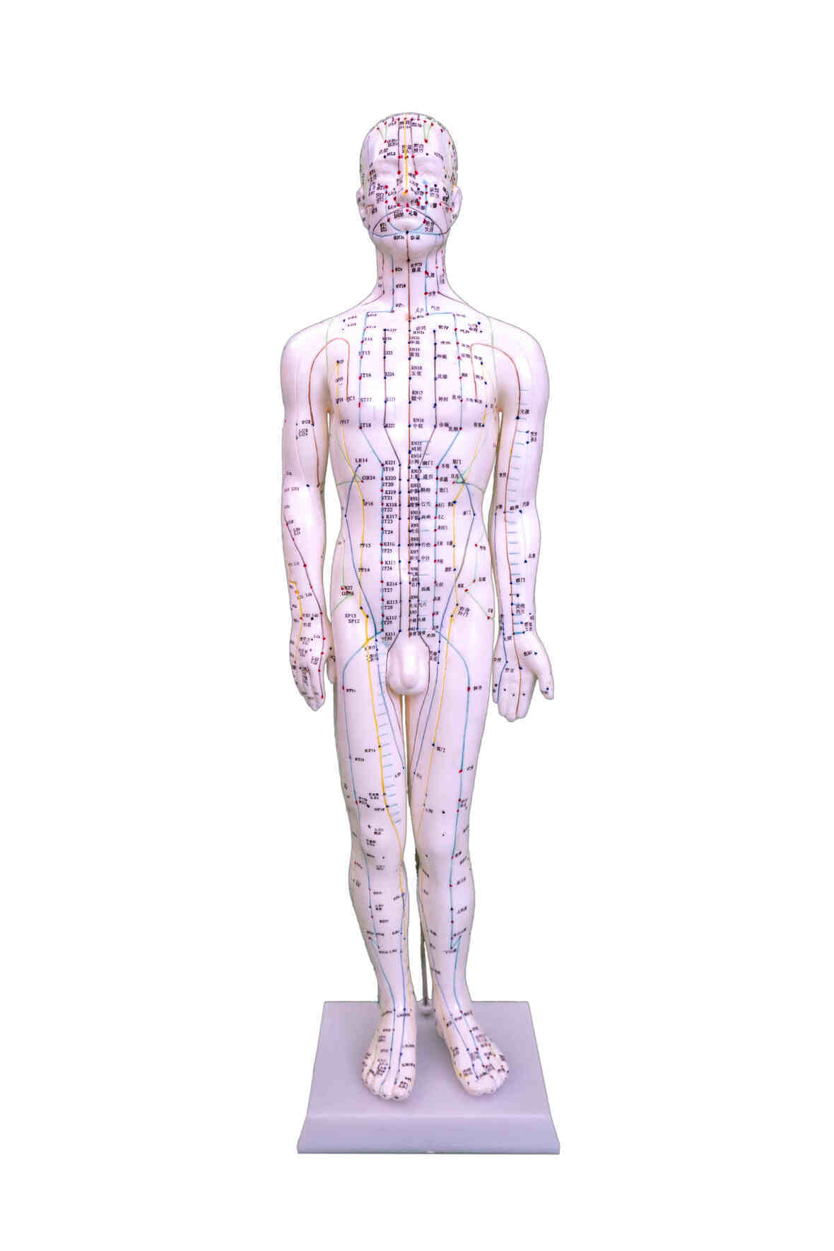 YA/Z013 Chinese Acupunture Figure, Male, 60 cm