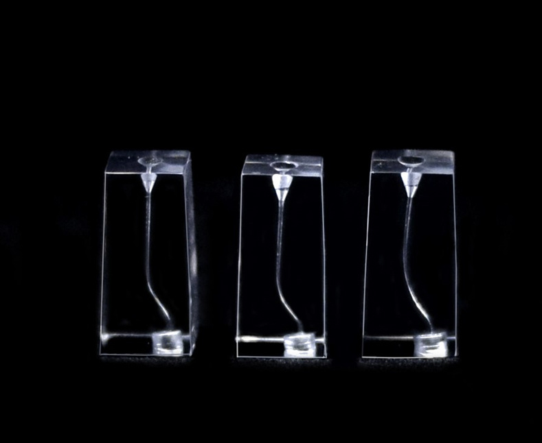 " S" Root Canal Practice Module