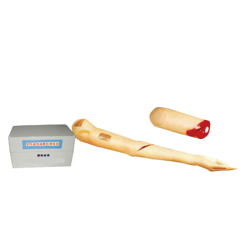 Controlling Bleeding Arm Model