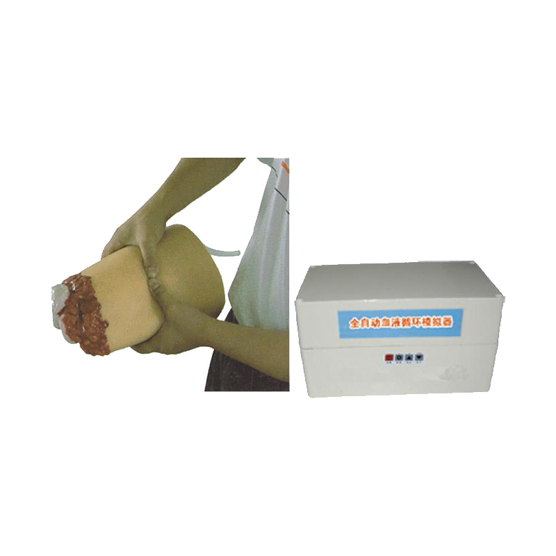Hemostatic Model of Lower Limb Trauma and Amputation
