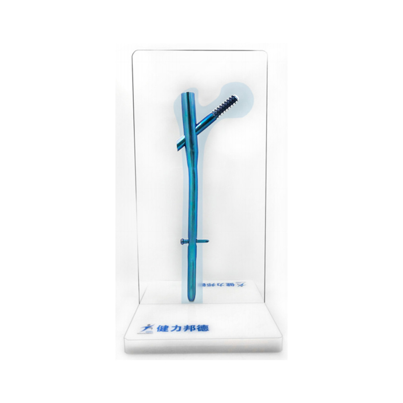 Intramedullary Nail Demonstration Model