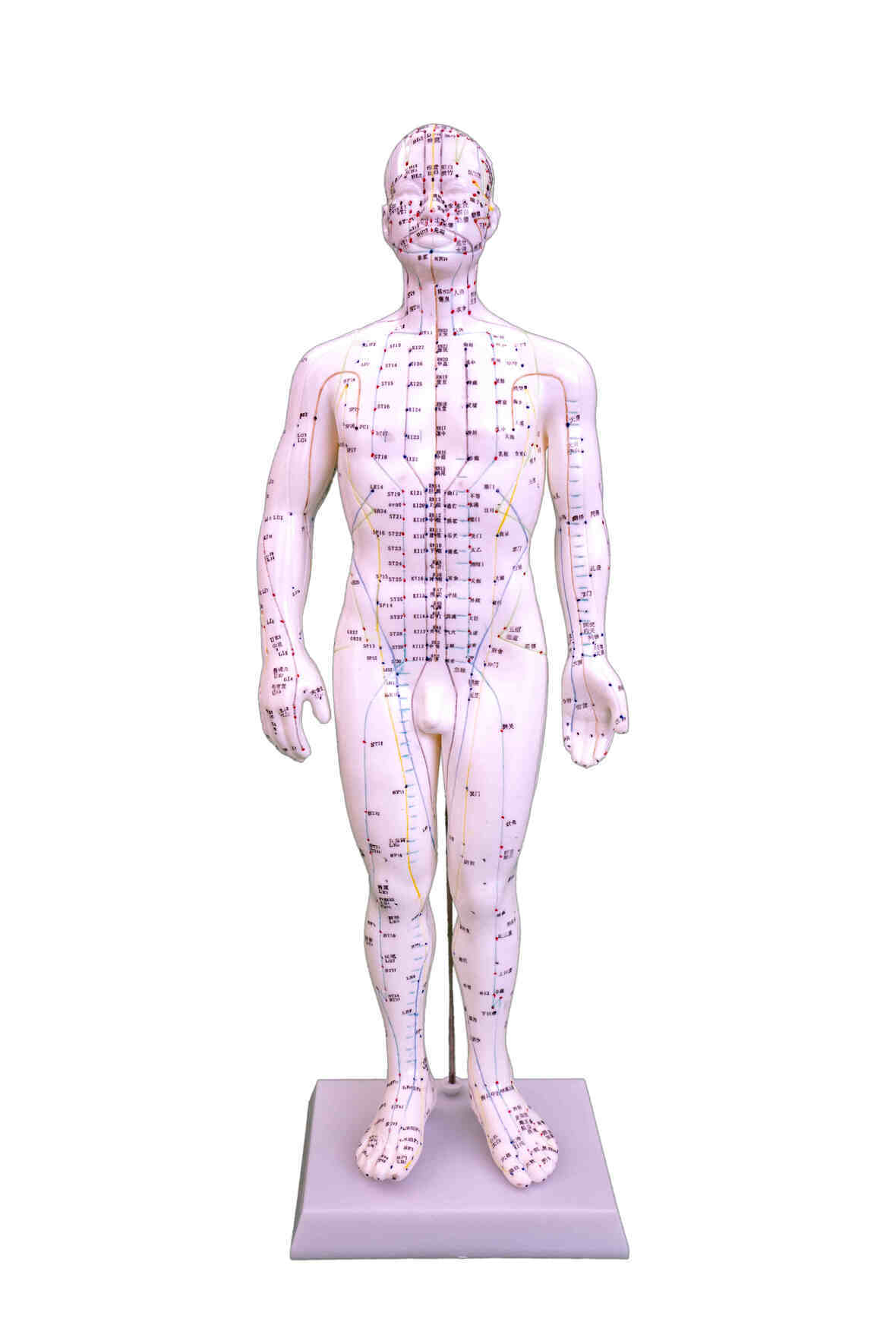 YA/Z014 Chinese Acupuncture Figure, Male, 50 cm