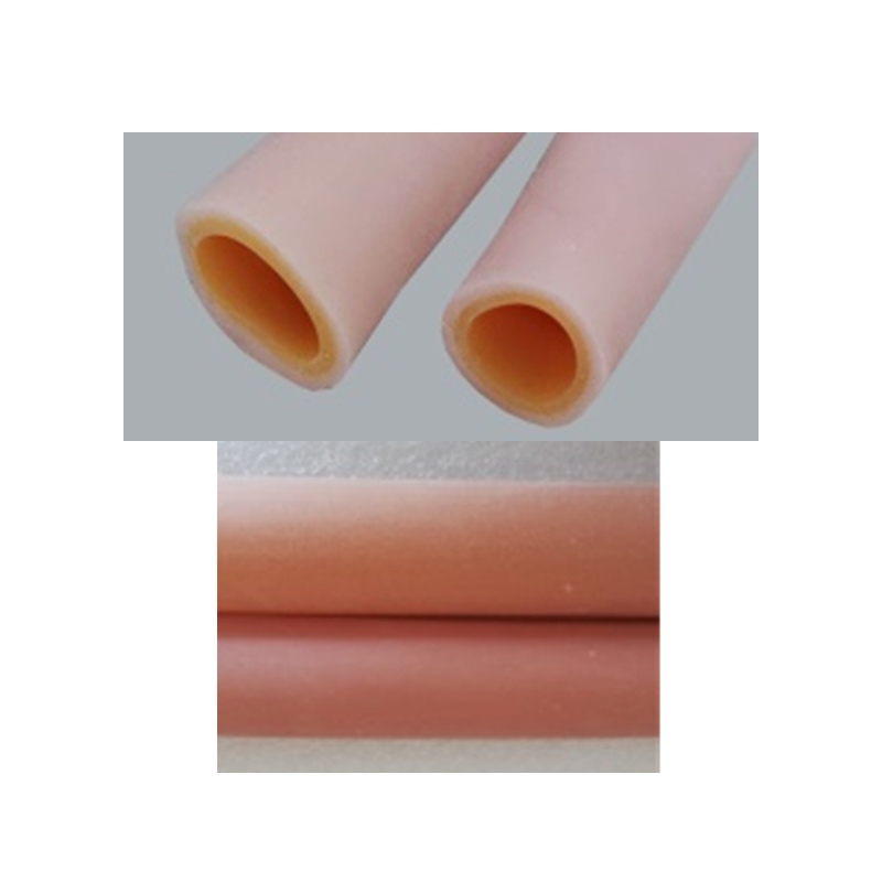Intestinal Anastomosis Model