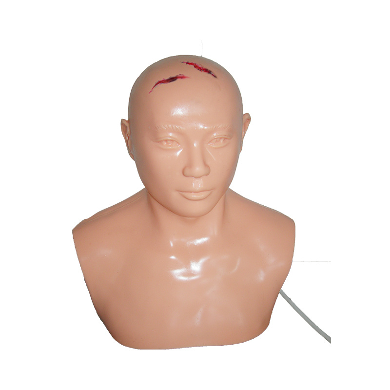 Head Debridement and Suture Model