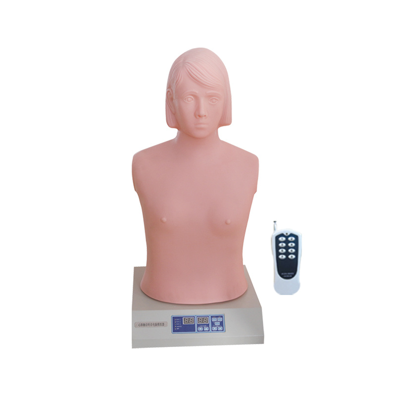 Cardiopulmonary Palpation and Auscultation Simulator  (with Wireless Remote Controller)