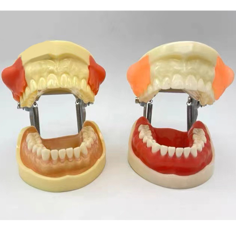 Practice Model for Abscess Incision