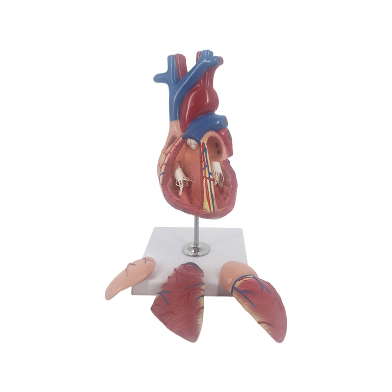 YA/C025 Heart in 4 Parts