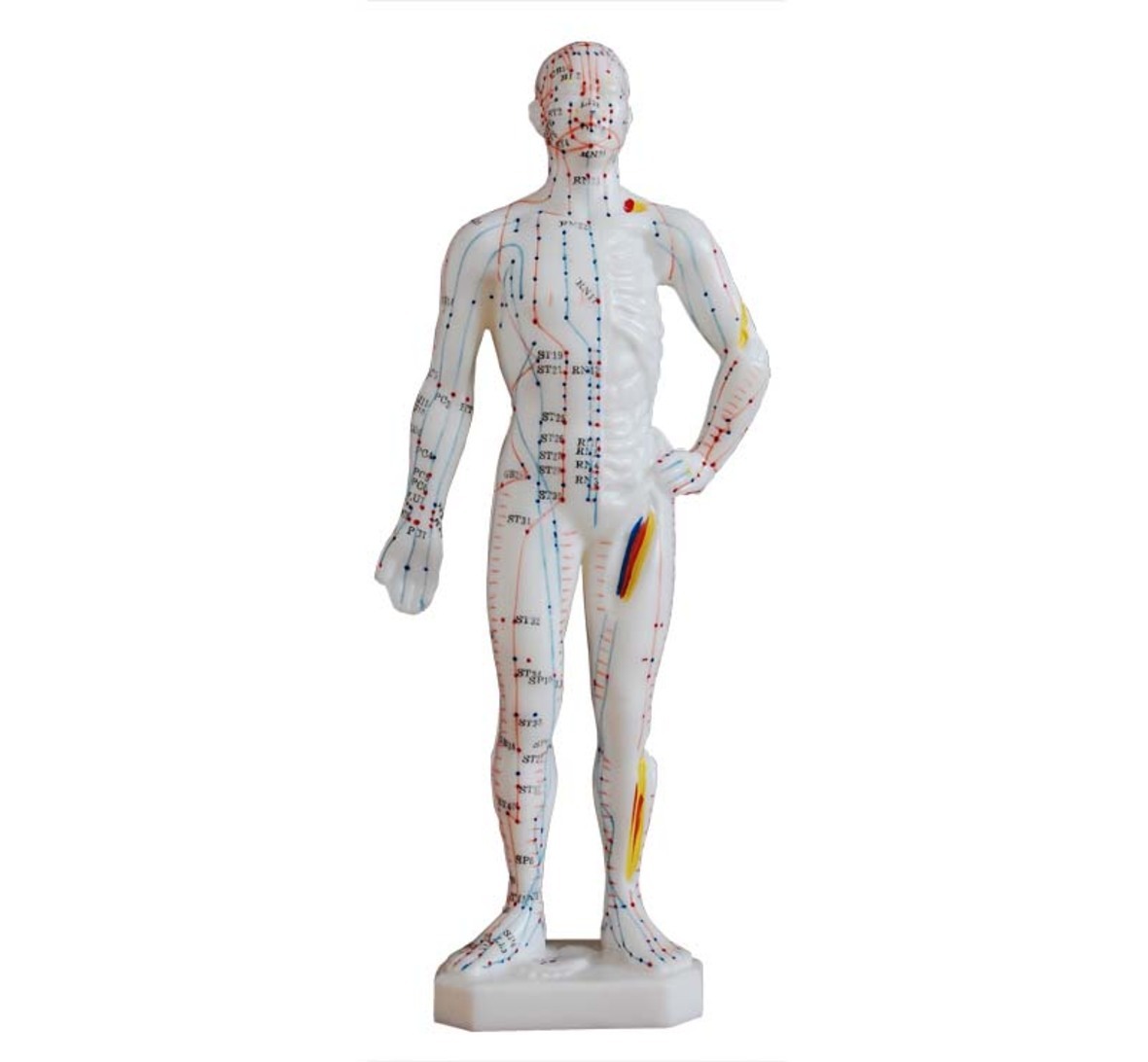 YA/Z016 Chinese Acupuncture Figure, Male, 26 cm