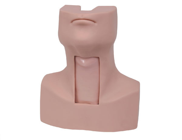 Advance Thyrocricocentesis Tracheostomy simulator