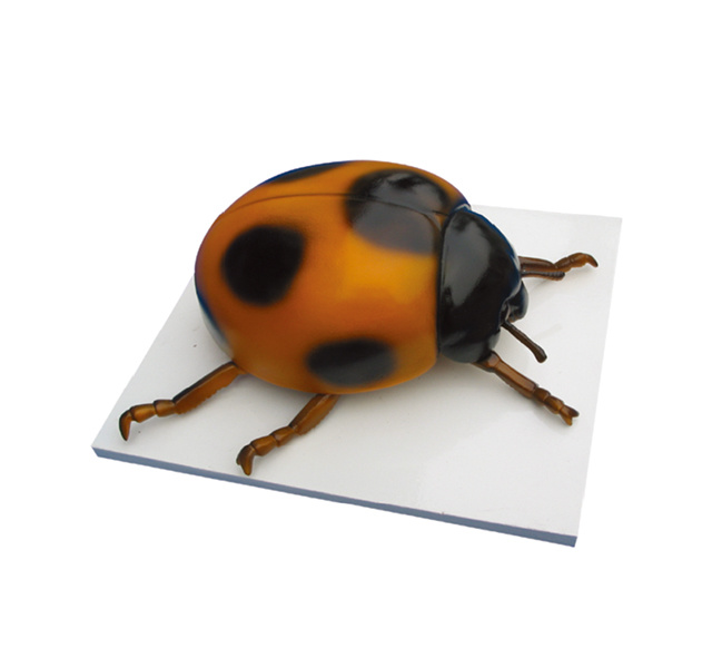 YA/B044 Seven -Star Ladybug Model