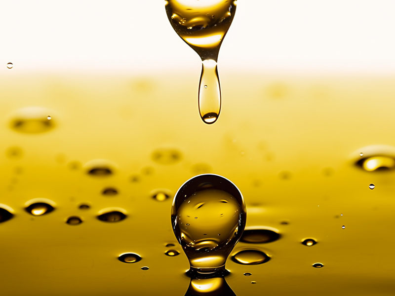 Solid-liquid separation and filtration of frying oil in food industry