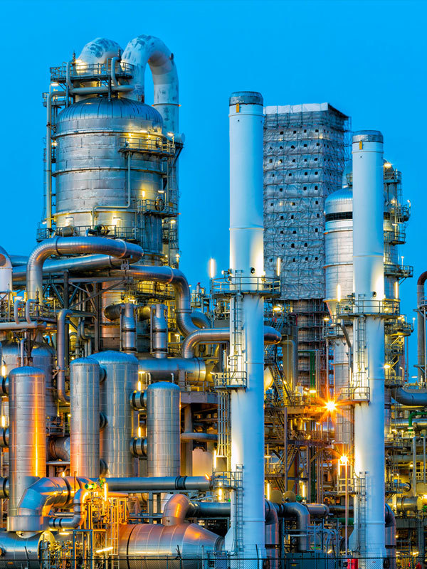 Fine Chemical Sector Fine Chemical Sector