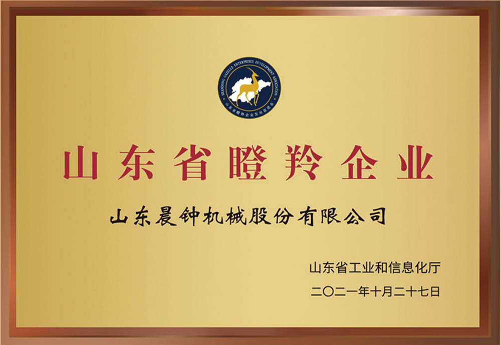 Shandong Antelope Enterprises