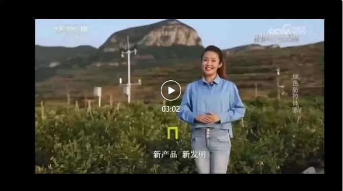 CCTV科教頻道《時尚科技秀》報道中藥材金銀花綠色防控體系