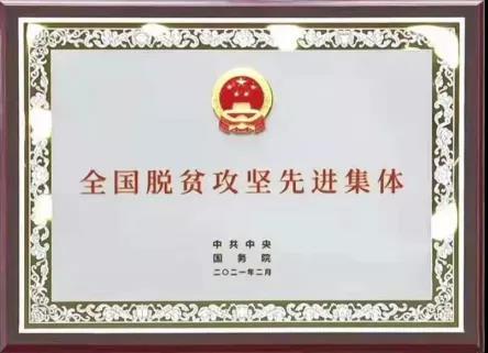 岳普湖縣九間棚金銀花專業(yè)合作社榮獲全國(guó)脫貧攻堅(jiān)先進(jìn)集體榮譽(yù)