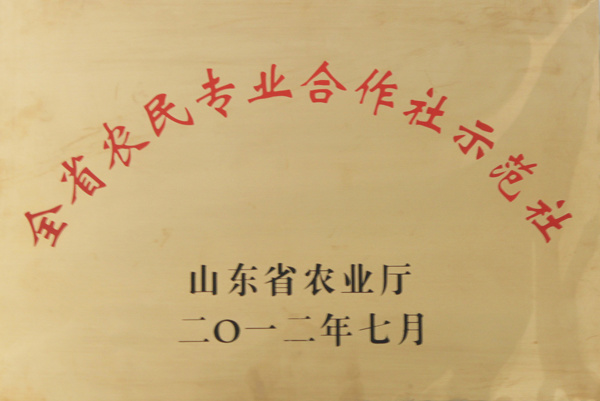 2012年7月，平邑縣九間棚金銀花專業(yè)合作社被評為全省農(nóng)民專業(yè)合作社示范社