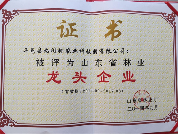 2014年9月，九間棚農(nóng)業(yè)科技園公司被評為省林業(yè)龍頭企業(yè)