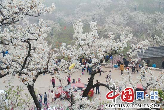 九間棚村被評(píng)為“中國(guó)鄉(xiāng)村旅游模范村”