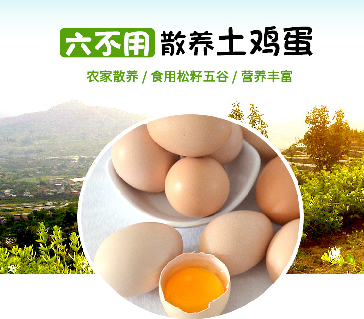 “六不用”草雞蛋