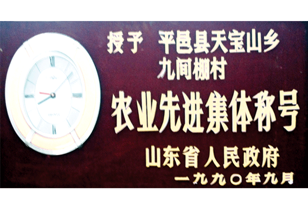 1990年9月，九間棚村被授予農(nóng)業(yè)先進(jìn)集體稱號(hào)