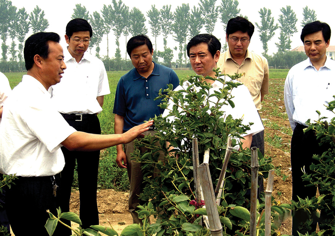 2006年6月5日，山東省副省長王軍民(右三）到九間棚科技園調研指導工作，臨沂市市長連承敏（右一），副市長劉彥祥（左二），平邑縣委副書記、縣長陳一兵（右二）陪同調研