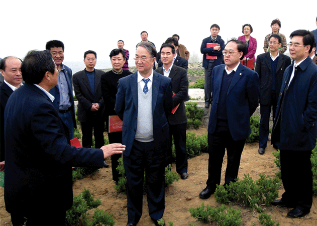 2010年4月19日，全國人大常委會副委員長、農工黨中央主席桑國衛(wèi)（左七）到九間棚集團公司考察金銀花種植產業(yè)，中共臨沂市委書記連承敏（右一），中共平邑縣委書記王林山（左一）陪同考察