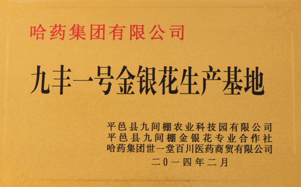 2014年2月，平邑縣九間棚農(nóng)業(yè)科技園有限公司與哈藥集團(tuán)合作建立九豐一號金銀花生產(chǎn)基地