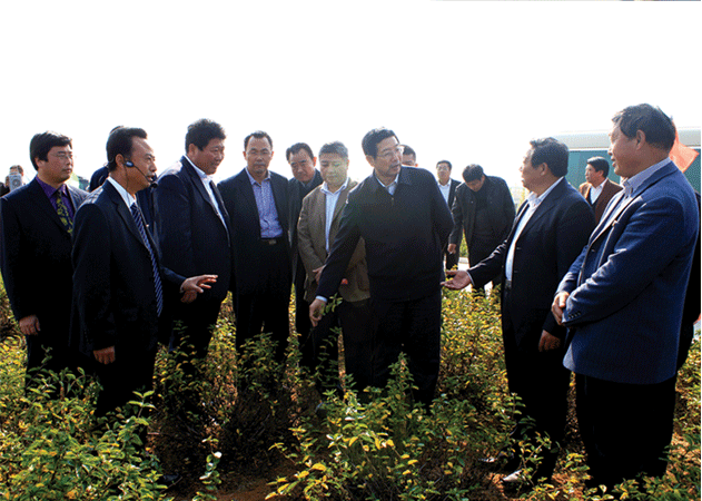 2011年11月，臨沂市副市長(zhǎng)劉彥祥（右三）視察九間棚合作社