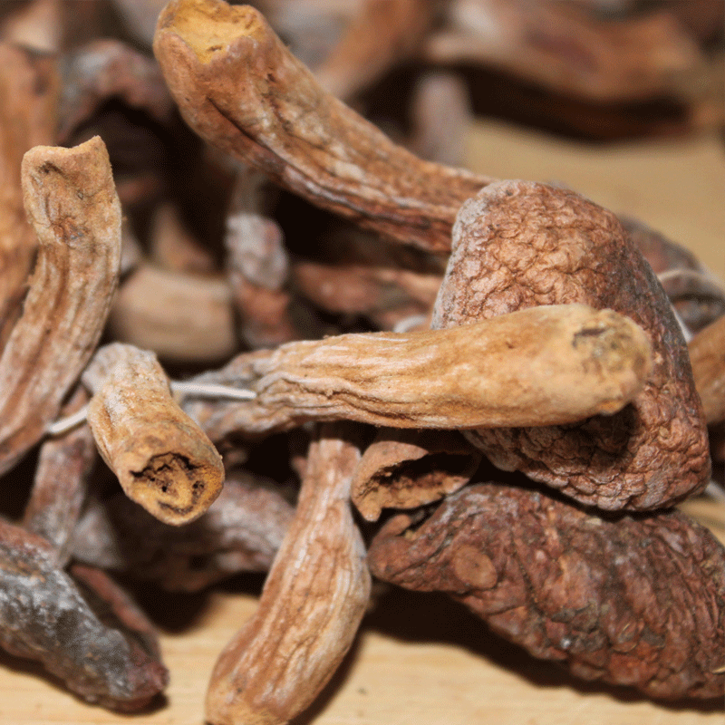 “六不用”鴨掌菇（已售罄）
