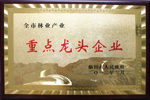 2012年3月，被評為市重點龍頭企業(yè)