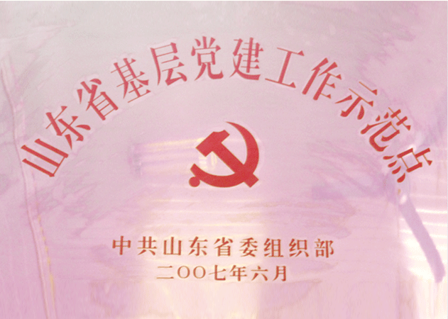 2007年6月，九間棚村被評(píng)為山東省基層黨建工作示范點(diǎn)
