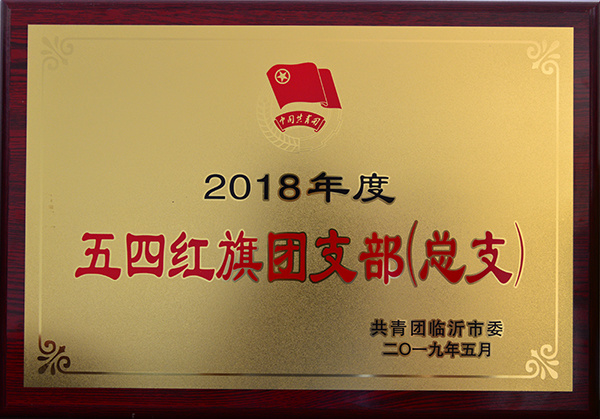 2019年5月，被評(píng)為2018年度市級(jí)五四紅旗團(tuán)支部（總支）