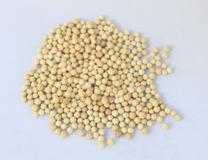 Granular Catalysts