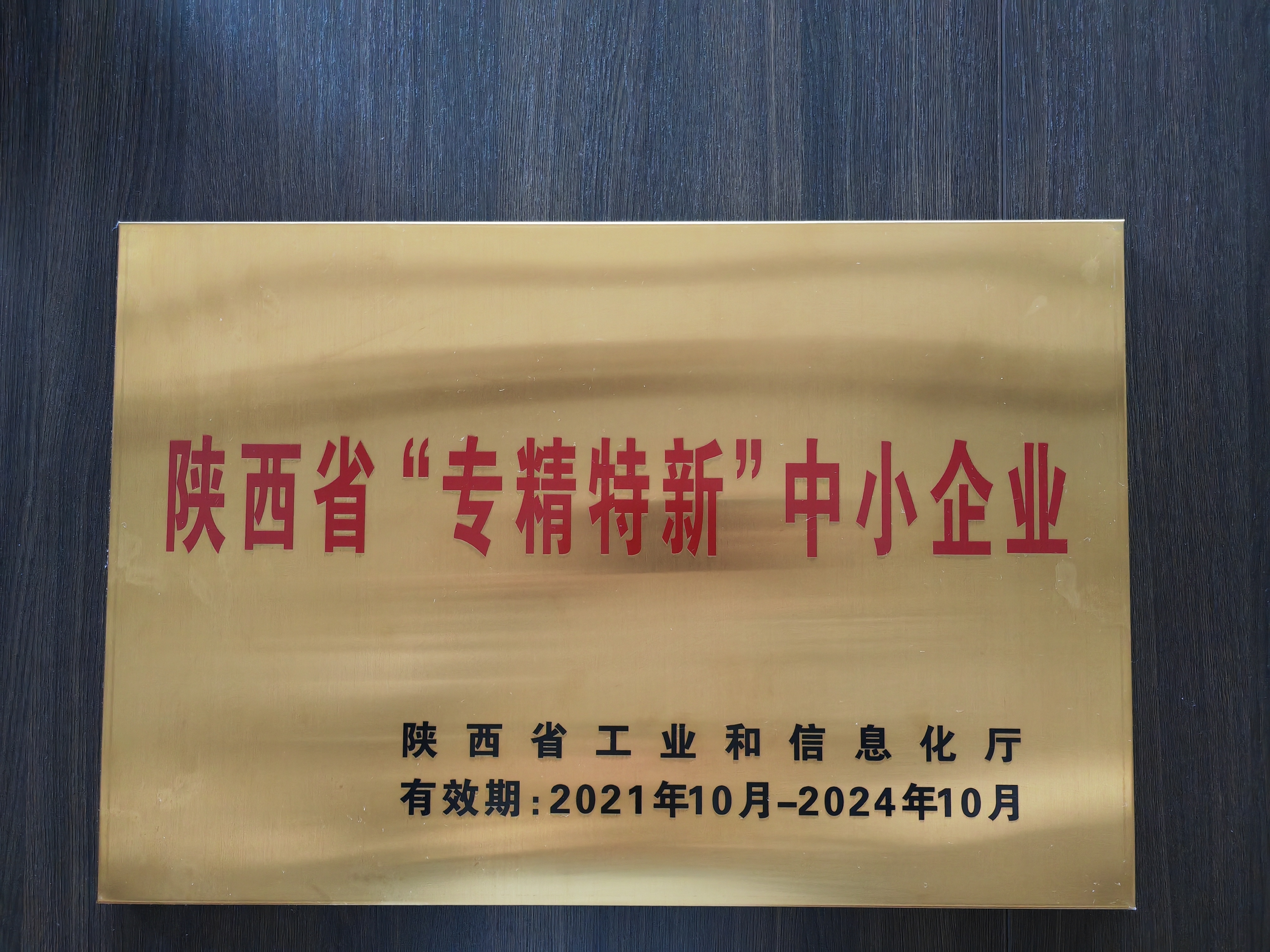 陜西省”專精特新“中小企業(yè)