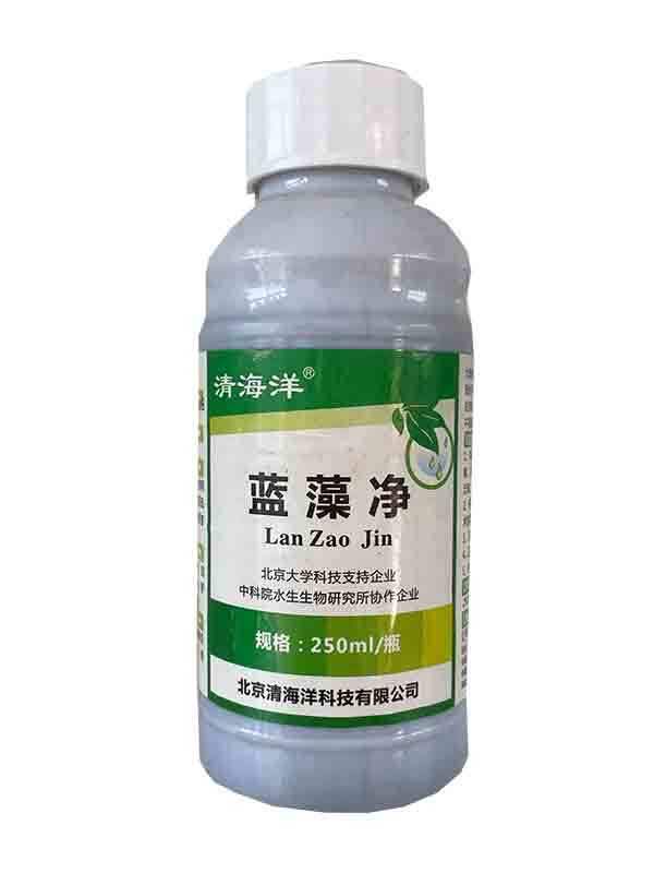 蓝藻净