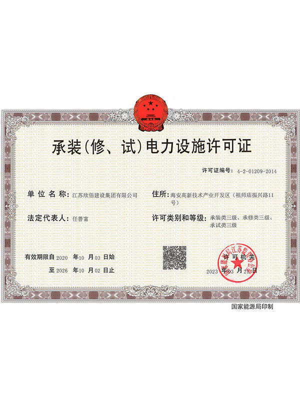 License for installation (repair and test) of power facilities