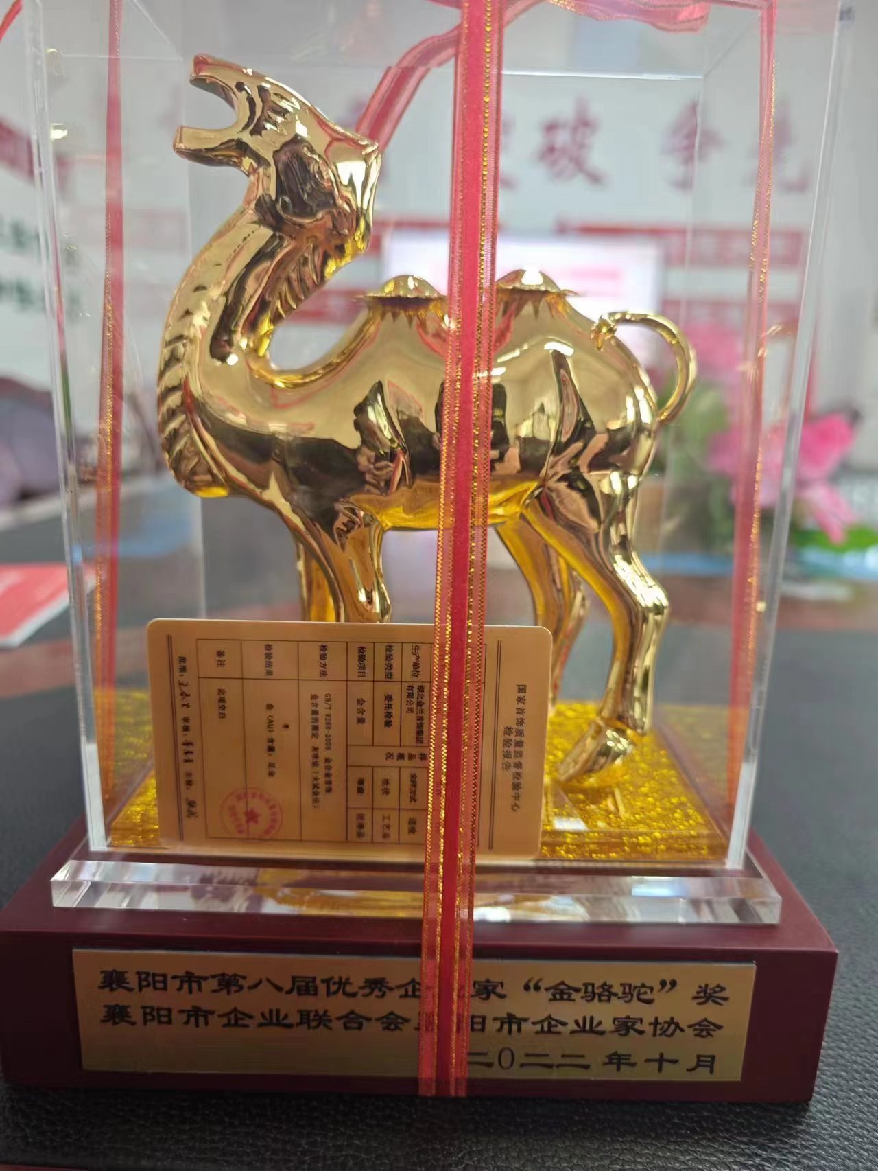 襄阳（2022）优秀企业家“金骆驼”