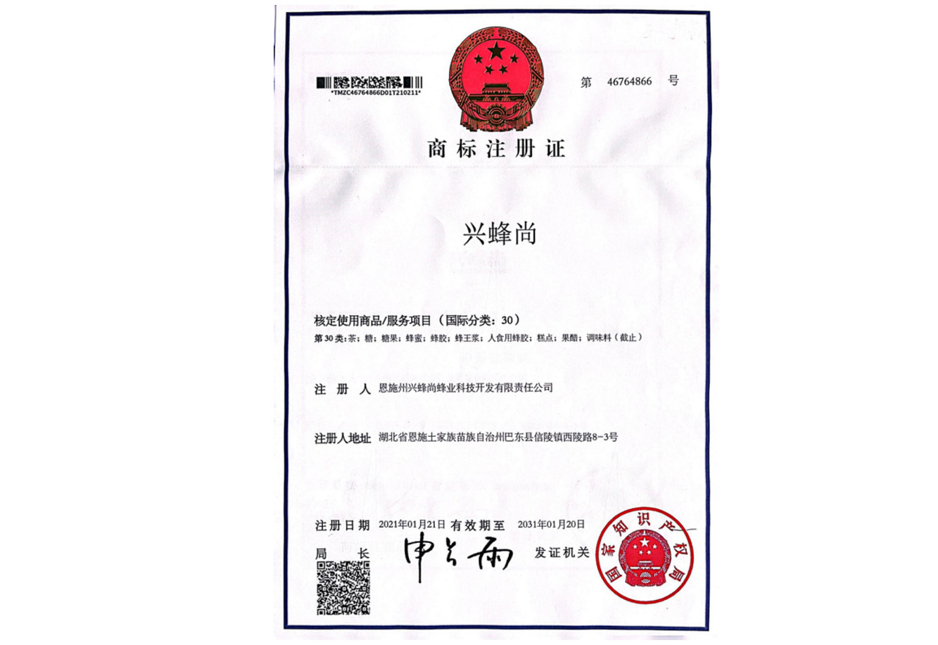 商标注册