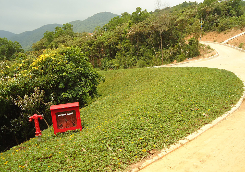Erosion Control