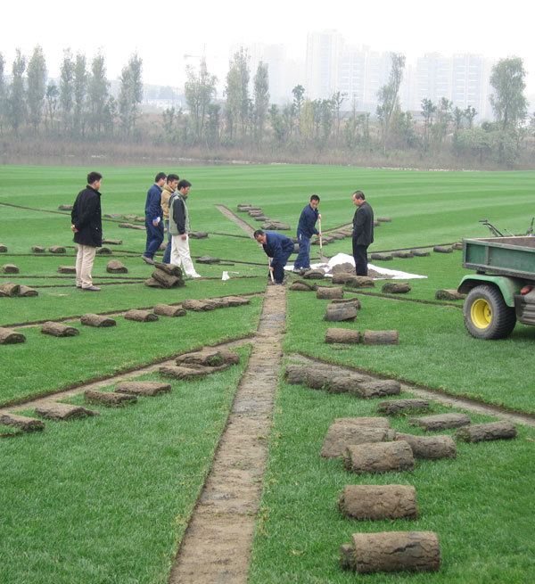 Drainage Works