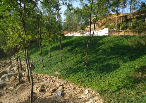 Erosion Control Erosion Control
