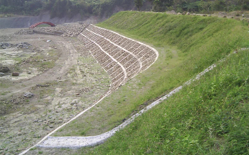 Drainage Works